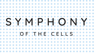 Image for Symphony of the Cells™ (SOC) Treatment